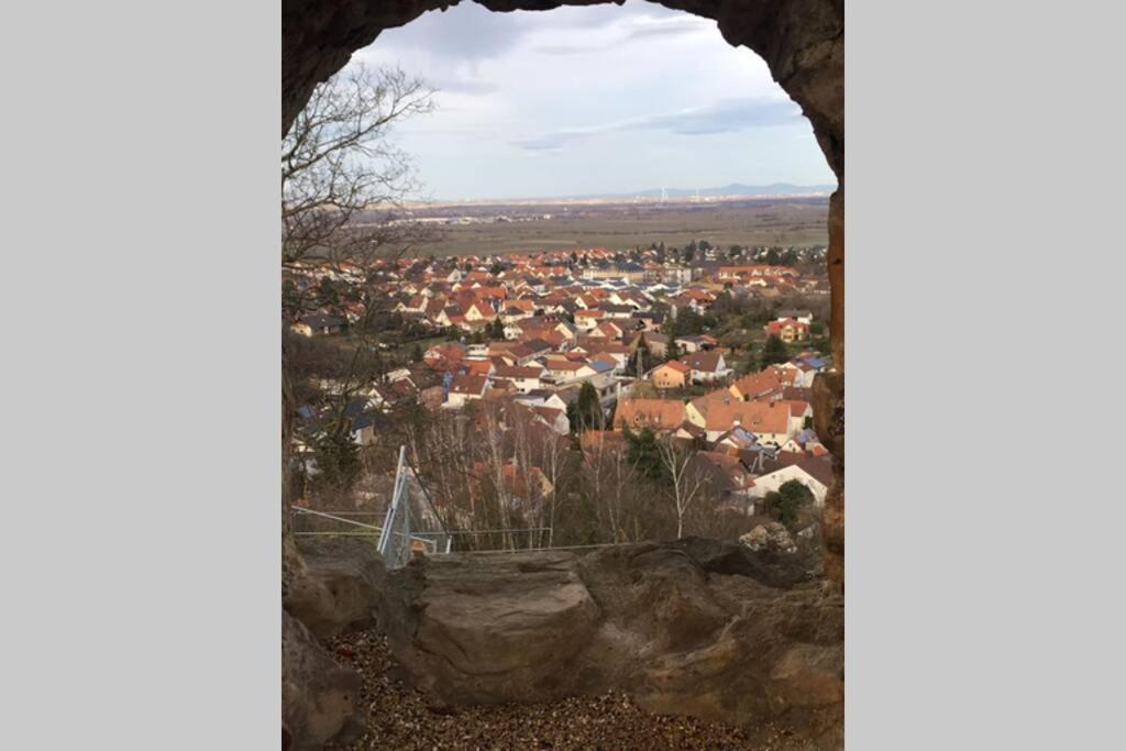 Wunderschoene Wohnung Mit Blick Auf Die Weinberge Neustadt an der Weinstraße Esterno foto