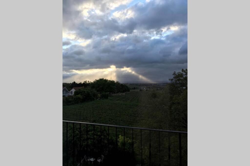 Wunderschoene Wohnung Mit Blick Auf Die Weinberge Neustadt an der Weinstraße Esterno foto