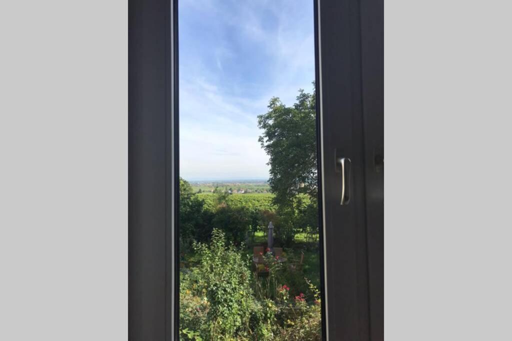 Wunderschoene Wohnung Mit Blick Auf Die Weinberge Neustadt an der Weinstraße Esterno foto
